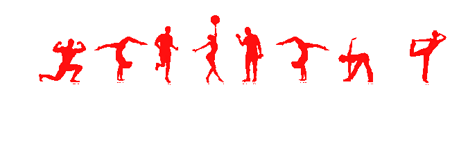 Physio Fitness MTT